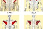 邱博士談武學：武學中小肌肉群、小關節(jié)與人體穩(wěn)定性