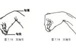 邱博士談武學(xué)：中國(guó)武術(shù)手型詳解——勾