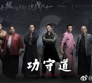 《功守道》的影響力能否能超越《戰(zhàn)狼2》？制作方能否名利雙收？