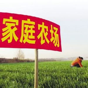 自辦家庭農(nóng)場政府有扶持政策嗎？