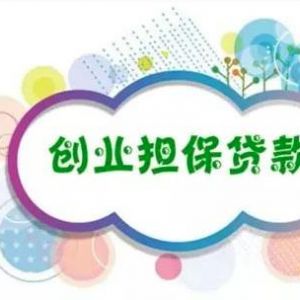 小微企業(yè)創(chuàng)業(yè)擔(dān)保貸款申請(qǐng)流程說(shuō)明