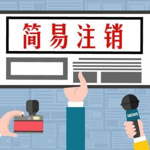 一文看懂公司簡(jiǎn)易注銷登記基本流程-【河南工商局紅盾網(wǎng)】