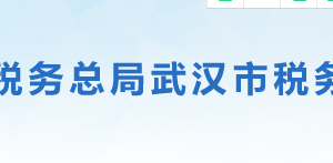 武漢市洪山區(qū)稅務(wù)局辦稅服務(wù)廳地址辦公時間及聯(lián)系電話