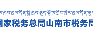 洛扎縣稅務(wù)局辦稅服務(wù)廳辦公時(shí)間地址及納稅咨詢電話