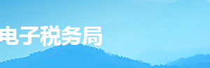 湖南省電子稅務(wù)局證件增補發(fā)操作流程說明