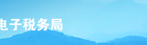 上海市電子稅務局入口及環(huán)境保護稅稅源信息采集操作流程說明