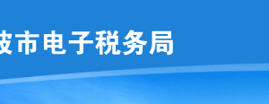 寧波市電子稅務(wù)局單位納稅人登記操作流程說明