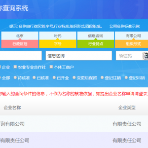 北京工商登記申請平臺(tái)名稱查詢操作說明