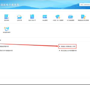 寧夏電子稅務(wù)局入口及增值稅小規(guī)模申報流程說明