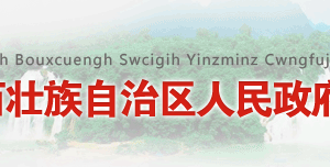 廣西自治區(qū)政務服務中心辦公時間地址及窗口咨詢電話