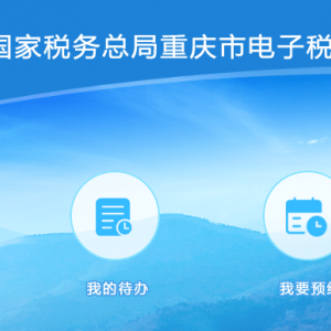 重慶市電子稅務(wù)局扣繳企業(yè)所得稅申報(bào)流程說明