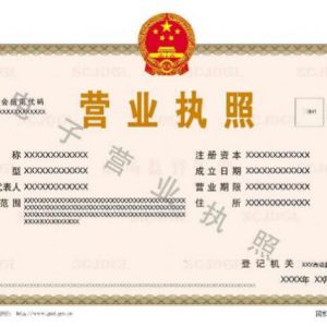 山東省如何領(lǐng)取和下載電子營(yíng)業(yè)執(zhí)照？