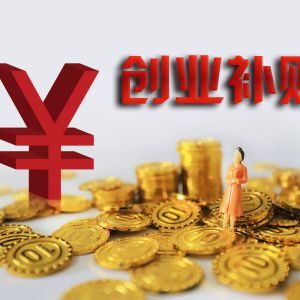 攀枝花市一次性吸納就業(yè)補(bǔ)貼和就業(yè)創(chuàng)業(yè)服務(wù)補(bǔ)助指南