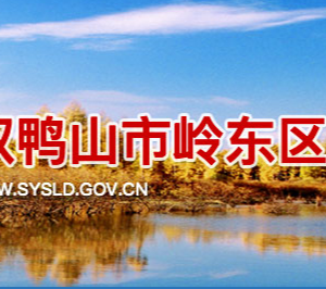 雙鴨山市嶺東區(qū)政務服務中心辦事大廳窗口咨詢電話及工作時間