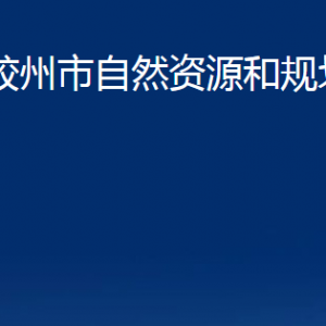 膠州市自然資源和規(guī)劃局各部門辦公時間及聯系電話