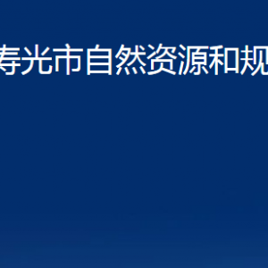 壽光市自然資源和規(guī)劃局各部門職責(zé)及對外聯(lián)系電話