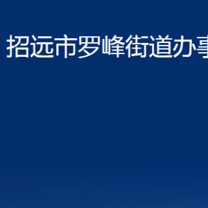 招遠市羅峰街道辦事處各部門對外聯(lián)系電話