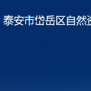 泰安市岱岳區(qū)自然資源局各部門職責(zé)及聯(lián)系電話