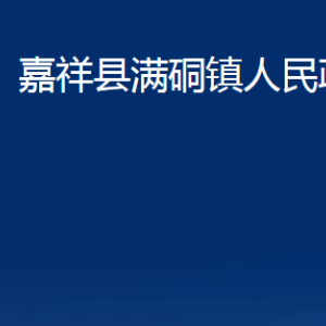 嘉祥縣滿硐鎮(zhèn)政府為民服務中心對外聯系電話及地址