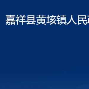 嘉祥縣黃垓鎮(zhèn)政府為民服務(wù)中心對(duì)外聯(lián)系電話(huà)及地址