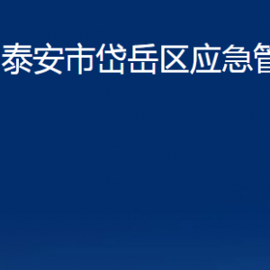 泰安市岱岳區(qū)應急管理局各部門職責及聯(lián)系電話