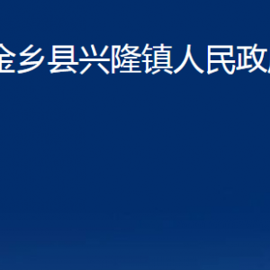 金鄉(xiāng)縣興隆鎮(zhèn)政府為民服務(wù)中心對外聯(lián)系電話及地址