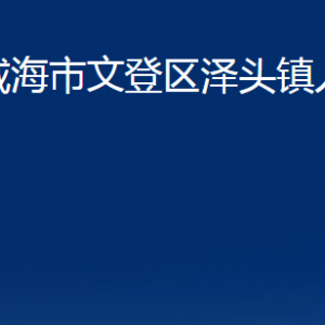 威海市文登區(qū)澤頭鎮(zhèn)政府便民服務中心對外聯(lián)系電話