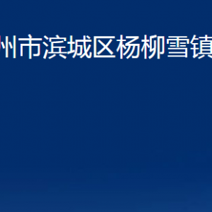 濱州市濱城區(qū)楊柳雪鎮(zhèn)政府便民服務中心辦公時間及聯(lián)系電話