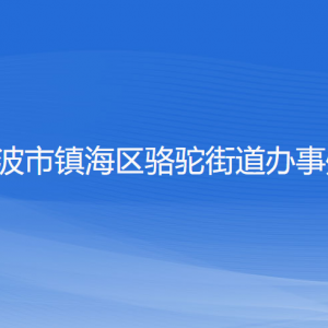 寧波市鎮(zhèn)海區(qū)駱駝街道辦事處各部門(mén)負(fù)責(zé)人和聯(lián)系電話