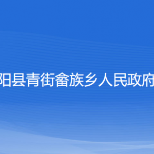 平陽縣青街畬族鄉(xiāng)人民政府各部門負責(zé)人和聯(lián)系電話