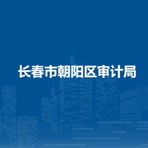 長(zhǎng)春市朝陽區(qū)審計(jì)局各部門職責(zé)及聯(lián)系電話