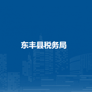 東豐縣稅務(wù)局辦稅服務(wù)廳地址辦公時間及納稅咨詢電話