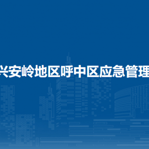 大興安嶺地區(qū)呼中區(qū)應(yīng)急管理局各部門(mén)職責(zé)及聯(lián)系電話