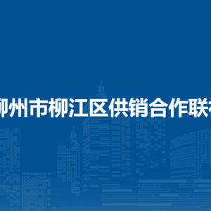 柳州市柳江區(qū)供銷合作聯(lián)社各部門負(fù)責(zé)人和聯(lián)系電話