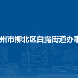 柳州市柳北區(qū)白露街道辦事處各部門工作時(shí)間及聯(lián)系電話