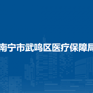 南寧市武鳴區(qū)醫(yī)療保障局各部門職責(zé)及聯(lián)系電話