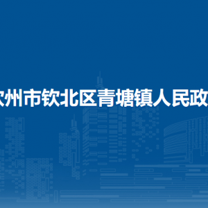 欽州市欽北區(qū)青塘鎮(zhèn)政府各部門工作時間及聯(lián)系電話