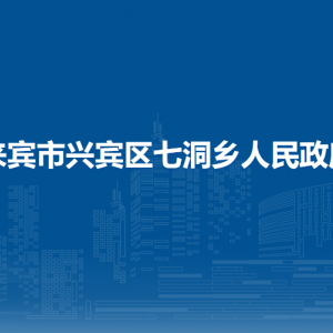 來賓市興賓區(qū)七洞鄉(xiāng)政府各部門負責人和聯(lián)系電話