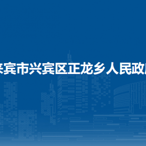 來賓市興賓區(qū)正龍鄉(xiāng)政府各部門負(fù)責(zé)人和聯(lián)系電話