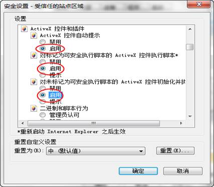 activex控件和插件所有選項設(shè)置為啟用