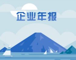 企業(yè)年報 