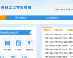 武漢市洪山區(qū)稅務局