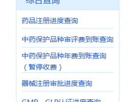 國(guó)家藥品監(jiān)督管理總局綜合查詢系統(tǒng)入口