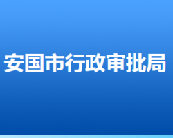 安國(guó)市行政審批局