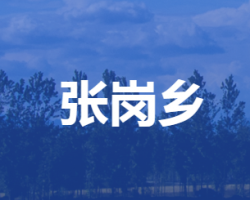 雄縣張崗鄉(xiāng)人民政府