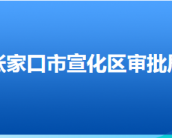 張家口市宣化區(qū)行政審批局