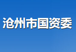 滄州市人民政府國有資產(chǎn)監(jiān)督管理委員會