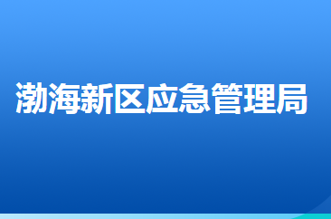 滄州渤海新區(qū)應(yīng)急管理局