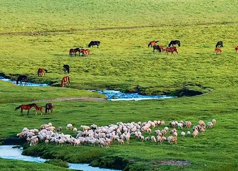 圍場滿族蒙古族自治縣農(nóng)業(yè)農(nóng)村局