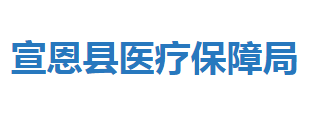 宣恩縣醫(yī)療保障局